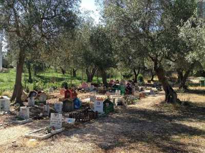 L�impressione � quella di non trovarsi in un cimitero. Le lapidi non sono di marmo bianco ma sono incastonate in casette di legno che ricordano le cucce dei cani, colorate dai toni vivaci dell�azzurro, del rosa, del giallo e del rosso